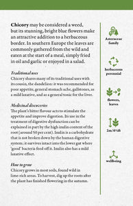 A Cabinet Full of Medicinal Plants: A Practical Card Deck