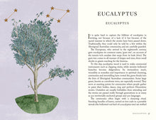 Folklore of Trees: The fascinating stories behind nature's guardians by Meighan