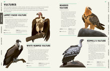 Encyclopedia of Birds by Howard