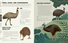 Encyclopedia of Birds by Howard