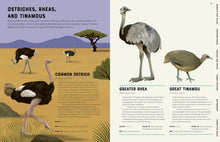 Encyclopedia of Birds by Howard