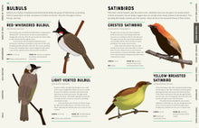 Encyclopedia of Birds by Howard
