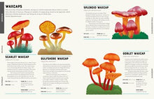 Encyclopedia of Fungi By Howard