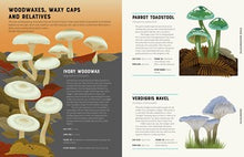 Encyclopedia of Fungi By Howard