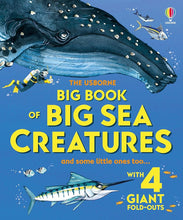 Big Book of Big Sea Creatures (Big Books) cover image