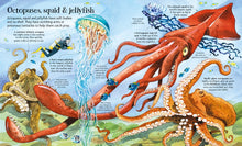 Big Book of Big Sea Creatures (Big Books) by Lacey