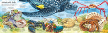 Big Book of Big Sea Creatures (Big Books) by Lacey