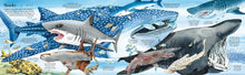 Big Book of Big Sea Creatures (Big Books) by Lacey