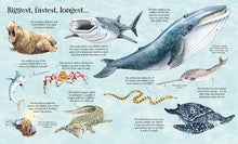Big Book of Big Sea Creatures (Big Books) by Lacey