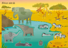 Animals Activity Pack