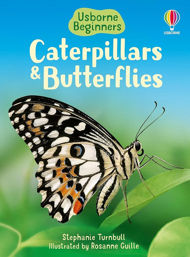 Caterpillars and Butterflies (Beginners) cover image