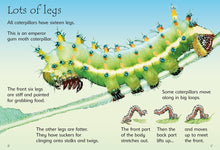 Caterpillars and Butterflies (Beginners) by Turnbull