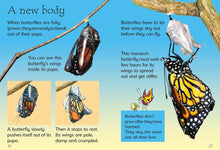 Caterpillars and Butterflies (Beginners) by Turnbull