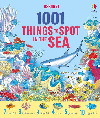 1001 Things to Spot in the Sea cover image