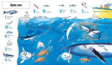 1001 Things to Spot in the Sea by Daynes & Gower