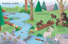 Wipe-Clean Nature Activities (Wipe-clean Activities) by Robson & Berti