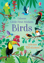 Little First Stickers Birds cover image
