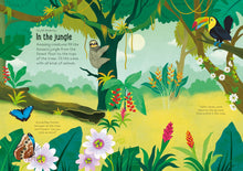 Little First Stickers Nature: A Fun Sticker Activity Book with Animals, Plants, and Bugs - An Easter and Springtime Book by Young & Detner