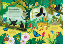 Little First Stickers Nature: A Fun Sticker Activity Book with Animals, Plants, and Bugs - An Easter and Springtime Book by Young & Detner