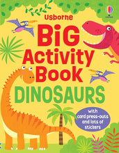 Big Activity Book Dinosaurs cover image