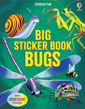 Big Sticker Book Bugs cover image