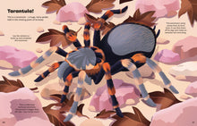 Big Sticker Book Bugs