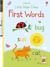 Little Wipe-Clean First Words cover image
