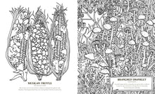 Into the Fungarium: A Spellbinding Coloring Book of Fantastical Fungi by Tromomp