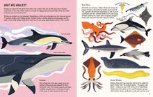 Wild About Whales (About Animals) by Davey
