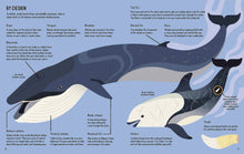 Wild About Whales (About Animals) by Davey