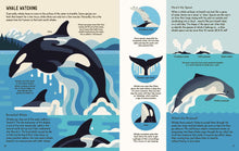 Wild About Whales (About Animals) by Davey