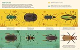 Bonkers About Beetles by Davey