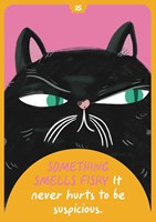 Cat Wisdom Oracle: 45 feline messages to get some meow in your life (Rockpool Oracle) By Esquisabel