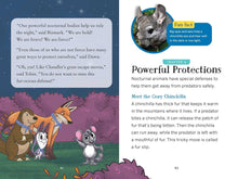 The Nocturnals Nighttime Animals: Awesome Features & Surprising Adaptations (Nonfiction Companion to The Nocturnals Series) by Hecht