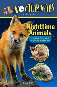 The Nocturnals Nighttime Animals: Awesome Features & Surprising Adaptations: Nonfiction Early Reader cover image