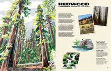 The Nature of Our National Parks by Rigby
