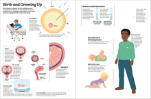 The Ultimate Book of the Human Body by Baumann