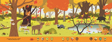 Animals Everywhere: A Lift, Look, and Find Book by Babin