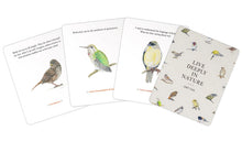 The Backyard Bird Deck: Affirmations and Reflections for Living Deeply in Nature: Affirmation Cards by Tan (Pre Order 1/13/2026)