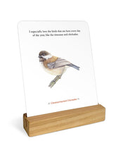 The Backyard Bird Deck: Affirmations and Reflections for Living Deeply in Nature: Affirmation Cards by Tan (Pre Order 1/13/2026)