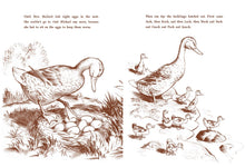 Make Way for Ducklings by McCloskey