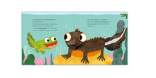 The Baby Wide-Mouthed Frog: A Pop-Up Book By Faulkner