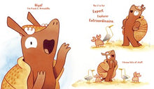 Do You Really Know Flamingos? by Todd