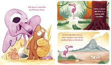 Do You Really Know Flamingos? by Todd
