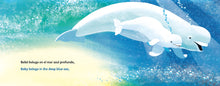 Baby Beluga/Bebé beluga (English-Spanish Bilingual Edition) by Raffi & Wolff