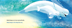 Baby Beluga/Bebé beluga (English-Spanish Bilingual Edition) by Raffi & Wolff