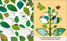 Bugs: A Peek-Through Board Book By Teckentrup