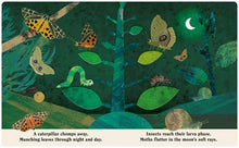 Bugs: A Peek-Through Board Book By Teckentrup