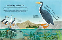 Time to Explore Dinosaurs: With a Foldout Surprise! by Mills