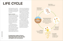 Fungi for Gardeners: Know Your Garden Fungi and How to Grow Them